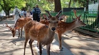 Thumbnail of post image 191