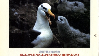 Thumbnail of post image 195