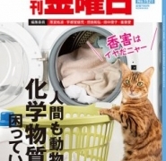 Thumbnail of post image 022