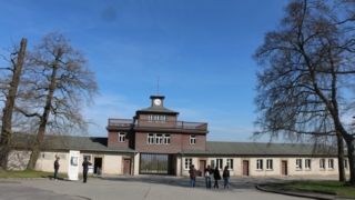 Thumbnail of post image 161