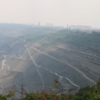 Thumbnail of post image 083
