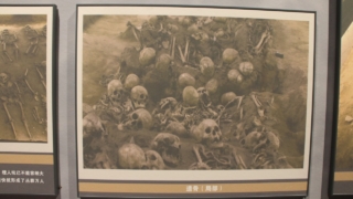 Thumbnail of post image 056