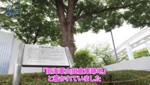 Thumbnail of post image 135