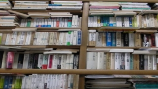 Thumbnail of post image 013