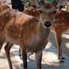Thumbnail of related posts 081