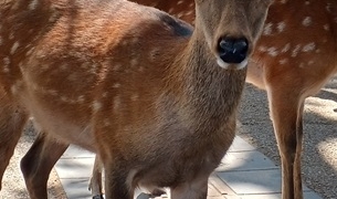 Thumbnail of post image 019