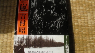 Thumbnail of post image 043